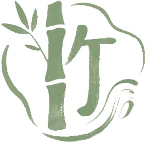 WiseLink Logo